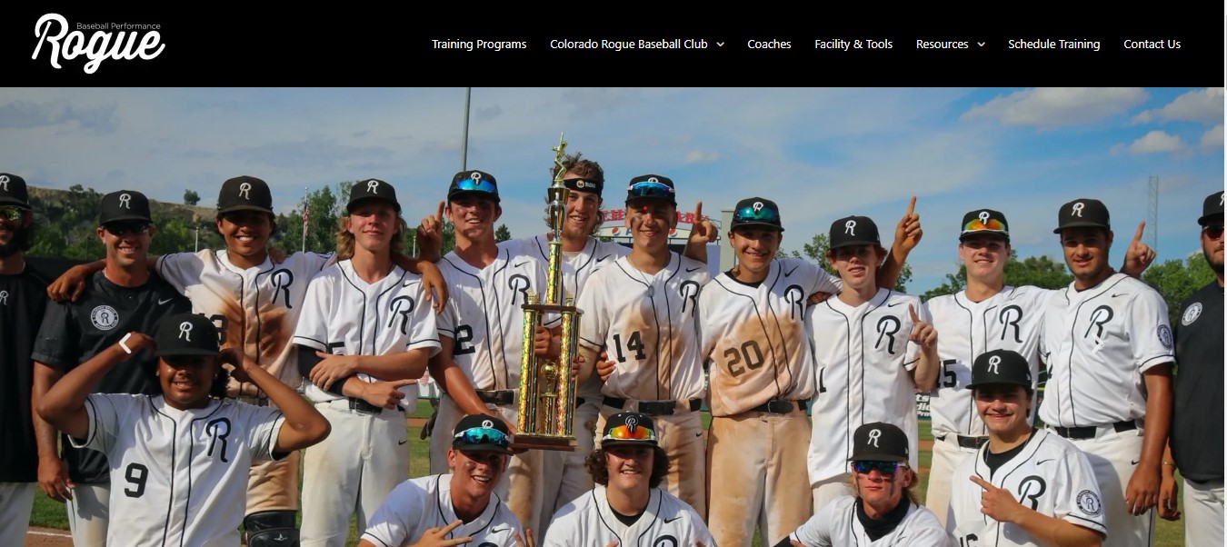 Rogue Baseball Performance